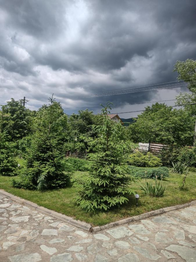 Pensiunea Codruta Carpinisu Exterior photo