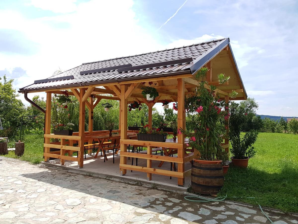 Pensiunea Codruta Carpinisu Exterior photo